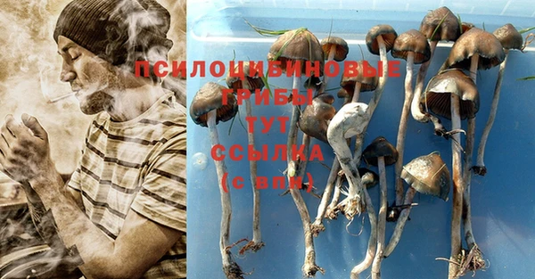 марки lsd Мегион