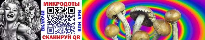 Галлюциногенные грибы Psilocybine cubensis  Рыльск 